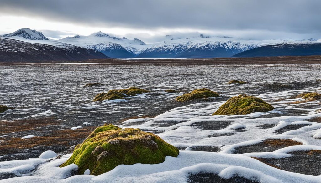 Permafrostböden – Die Kühltruhe der Welt