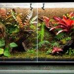 paludarium