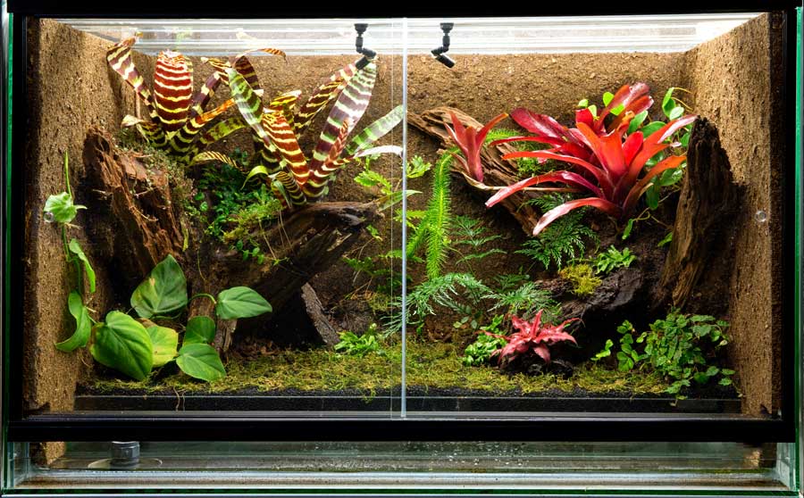 paludarium