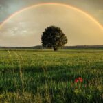 regenbogen