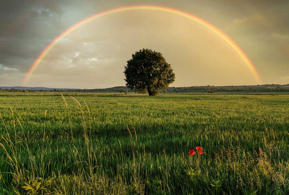 regenbogen