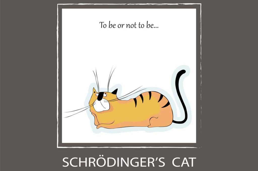 Schrödingers Katze