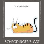 Schrödingers Katze