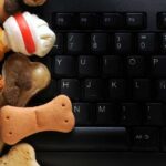 tierbedarf-online-kaufen