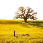 Was im Leben wirklich zählt