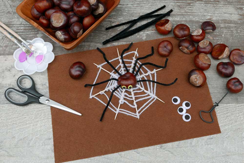 kastanien-bastelidee-spinne