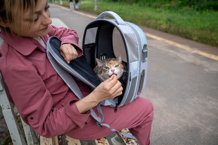 Transportrucksack für Katzen