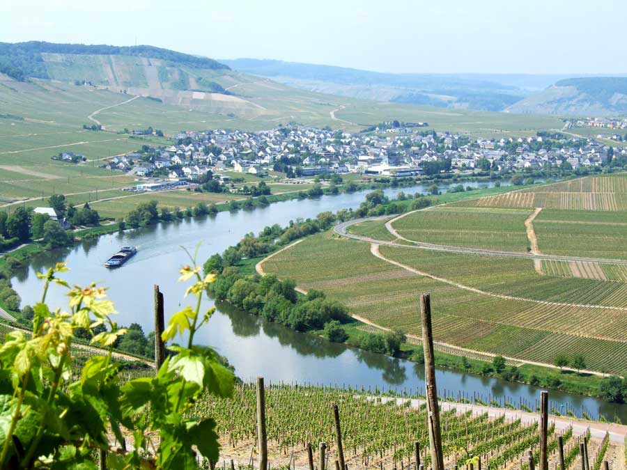 weinanbaugebiete-mosel
