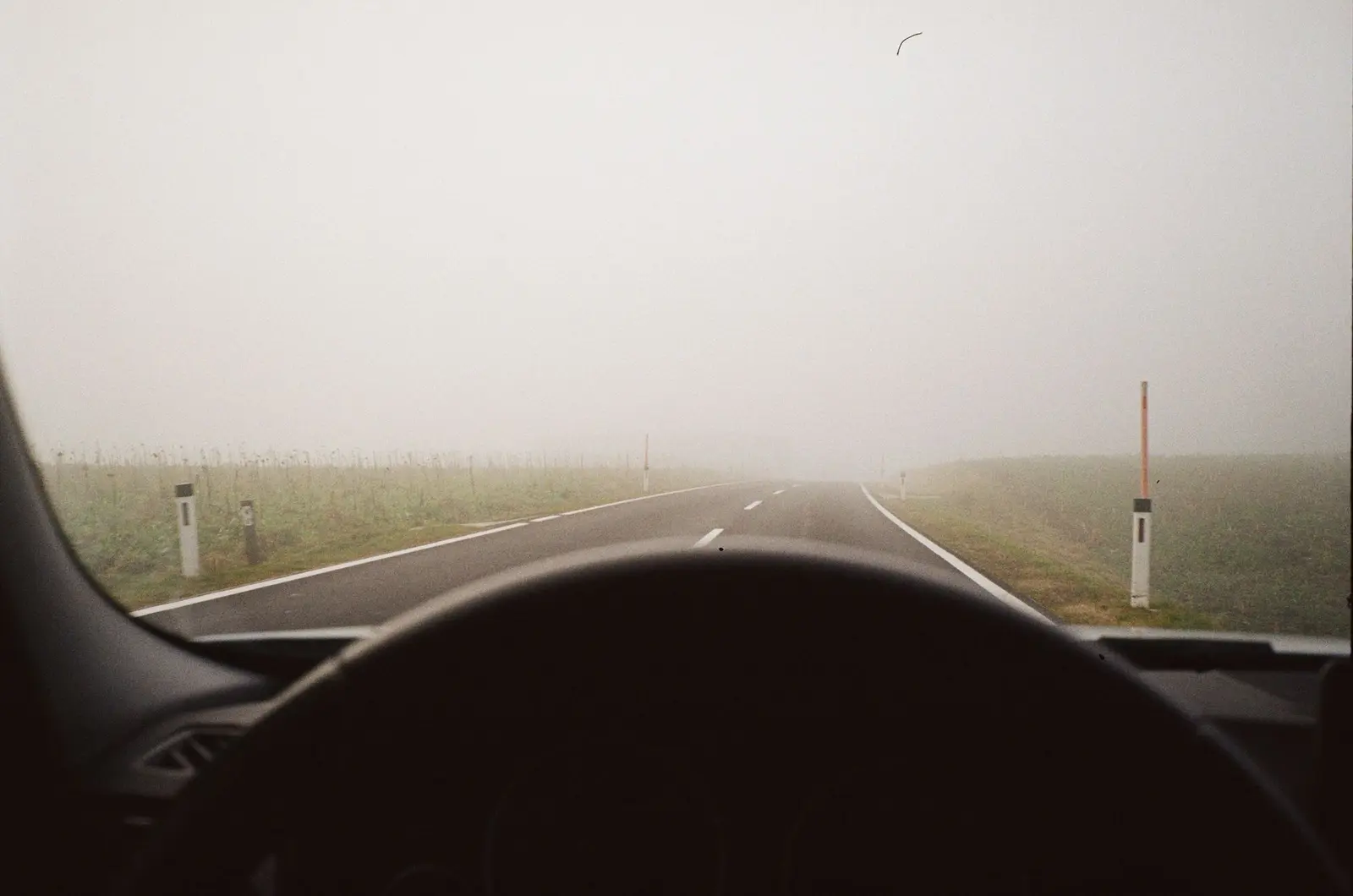 Blick aus einem Auto auf eine Landstraße mit Leitpfosten bei dichter Nebelsicht