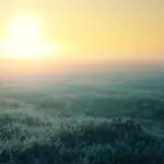 Bereifte Wiese im Morgennebel bei tief stehender Sonne