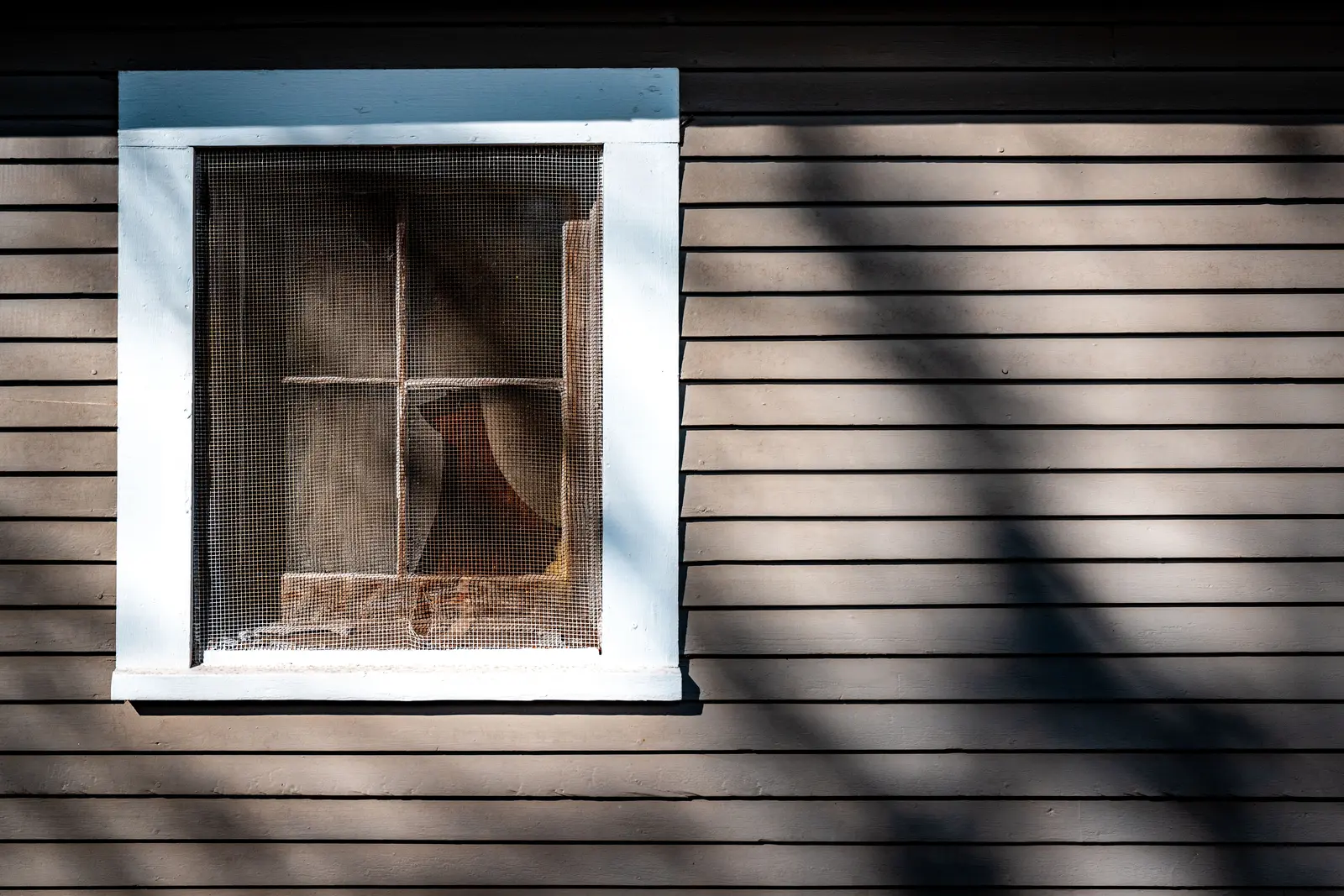 Fenster eines Holzhauses mit feinmaschigem Insektenschutznetz