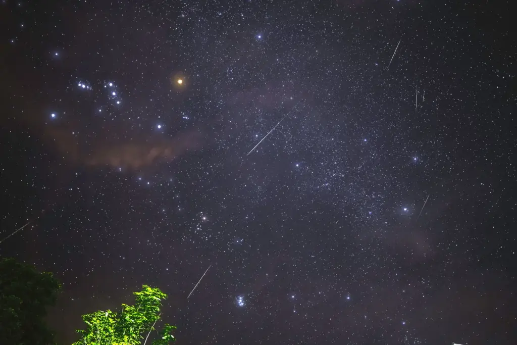 Mehrere Meteorspuren am Sternenhimmel nahe dem Sternbild Orion