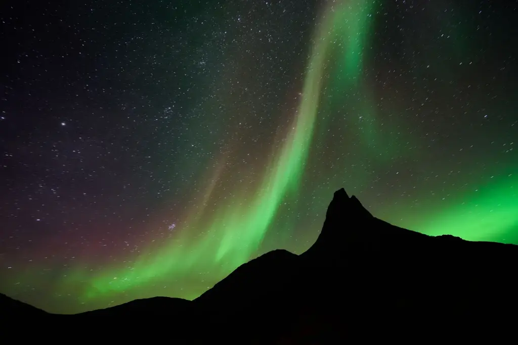 Grüne Polarlichter über einer dunklen Bergsilhouette und Sternenhimmel